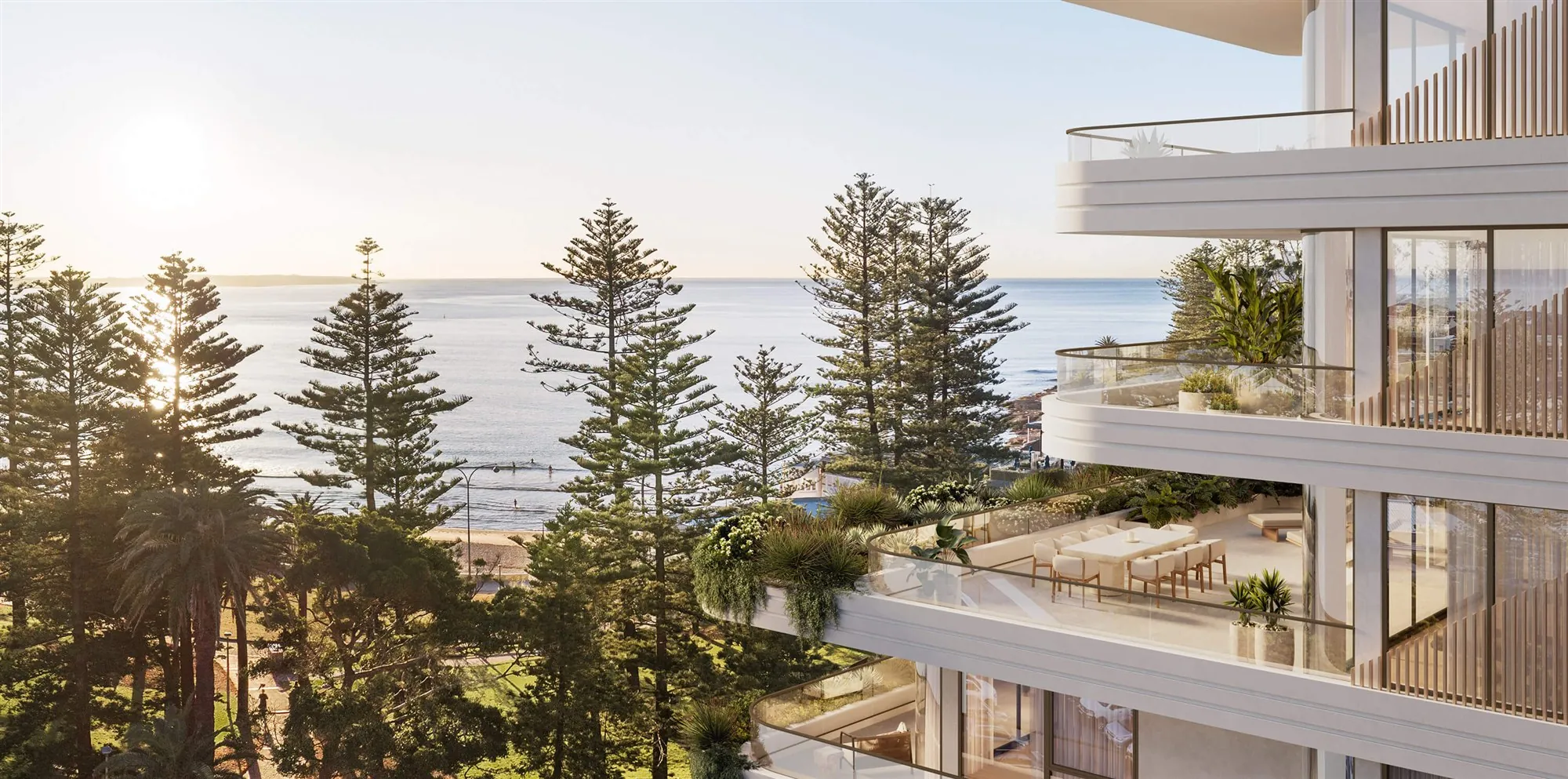 Palm, Cronulla
